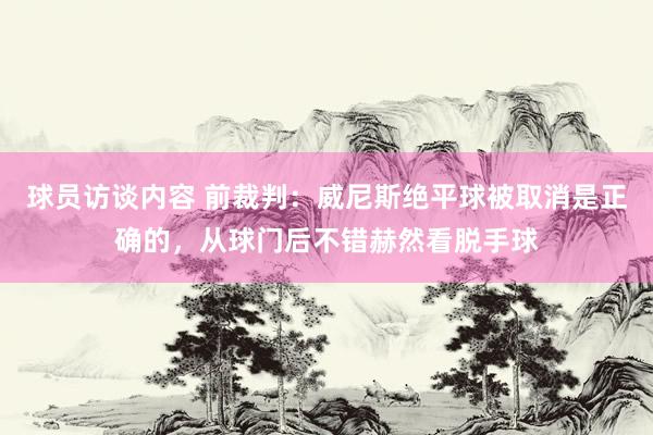 球员访谈内容 前裁判：威尼斯绝平球被取消是正确的，从球门后不错赫然看脱手球