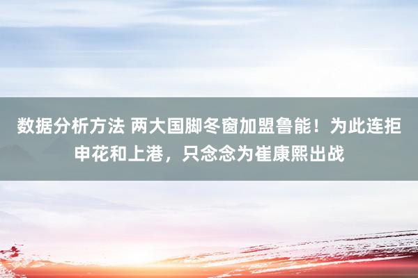 数据分析方法 两大国脚冬窗加盟鲁能！为此连拒申花和上港，只念念为崔康熙出战