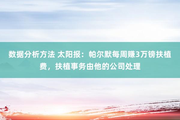 数据分析方法 太阳报：帕尔默每周赚3万镑扶植费，扶植事务由他的公司处理