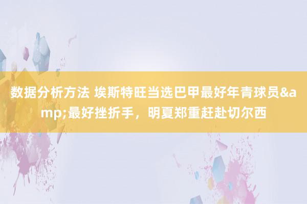 数据分析方法 埃斯特旺当选巴甲最好年青球员&最好挫折手，明夏郑重赶赴切尔西