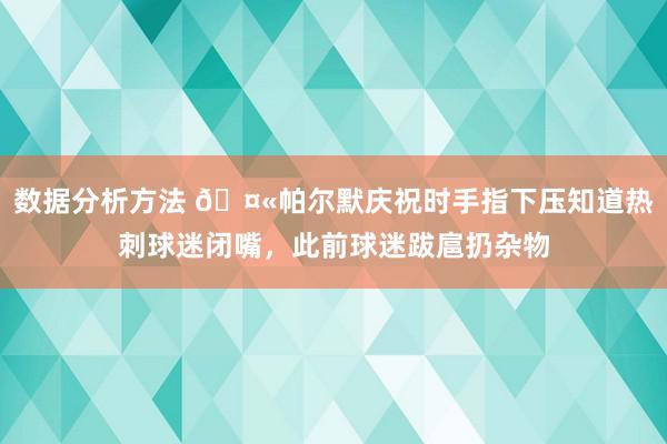 数据分析方法 🤫帕尔默庆祝时手指下压知道热刺球迷闭嘴，此前球迷跋扈扔杂物